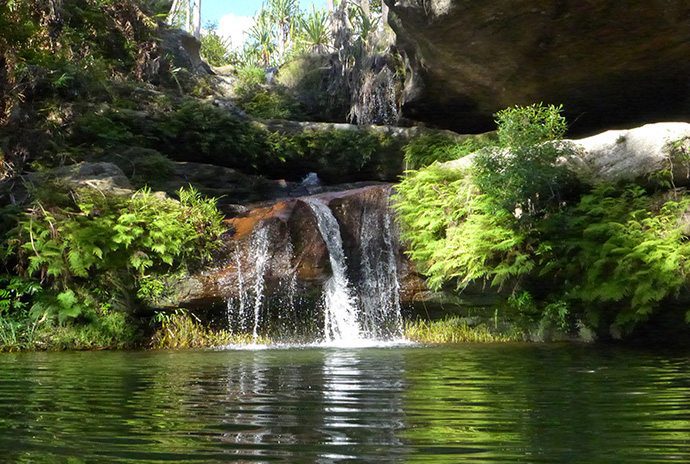 Piscine naturelle